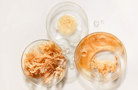 sea moss secrets discover the superfood that supports every system in your body