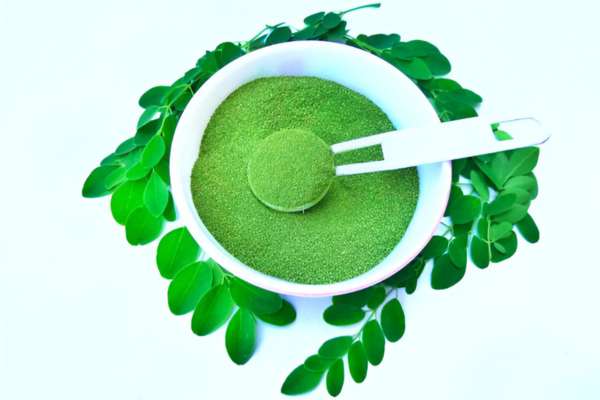 organic sea moss the ultimate superfood for vegans 4 the organic advantage purity and potency organic sea moss the ultimate superfood for vegans