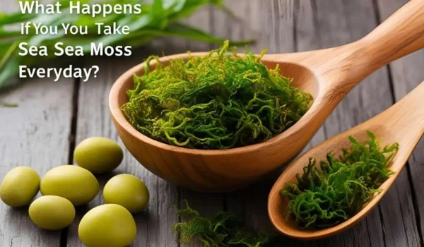 what happens if you take sea moss everyday​