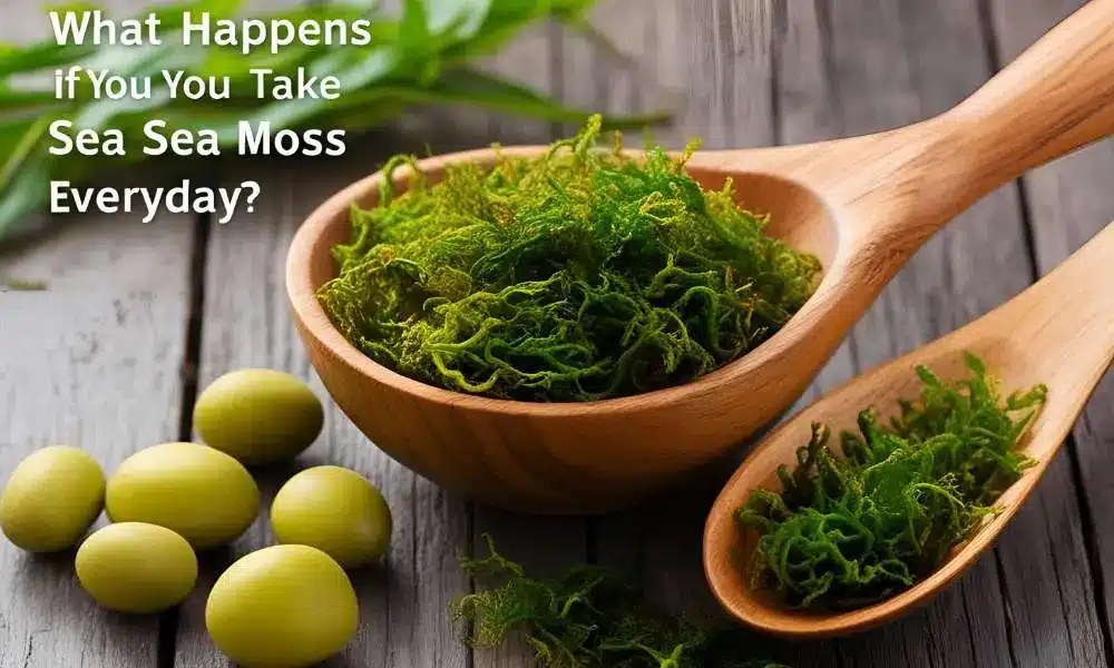 what happens if you take sea moss everyday​
