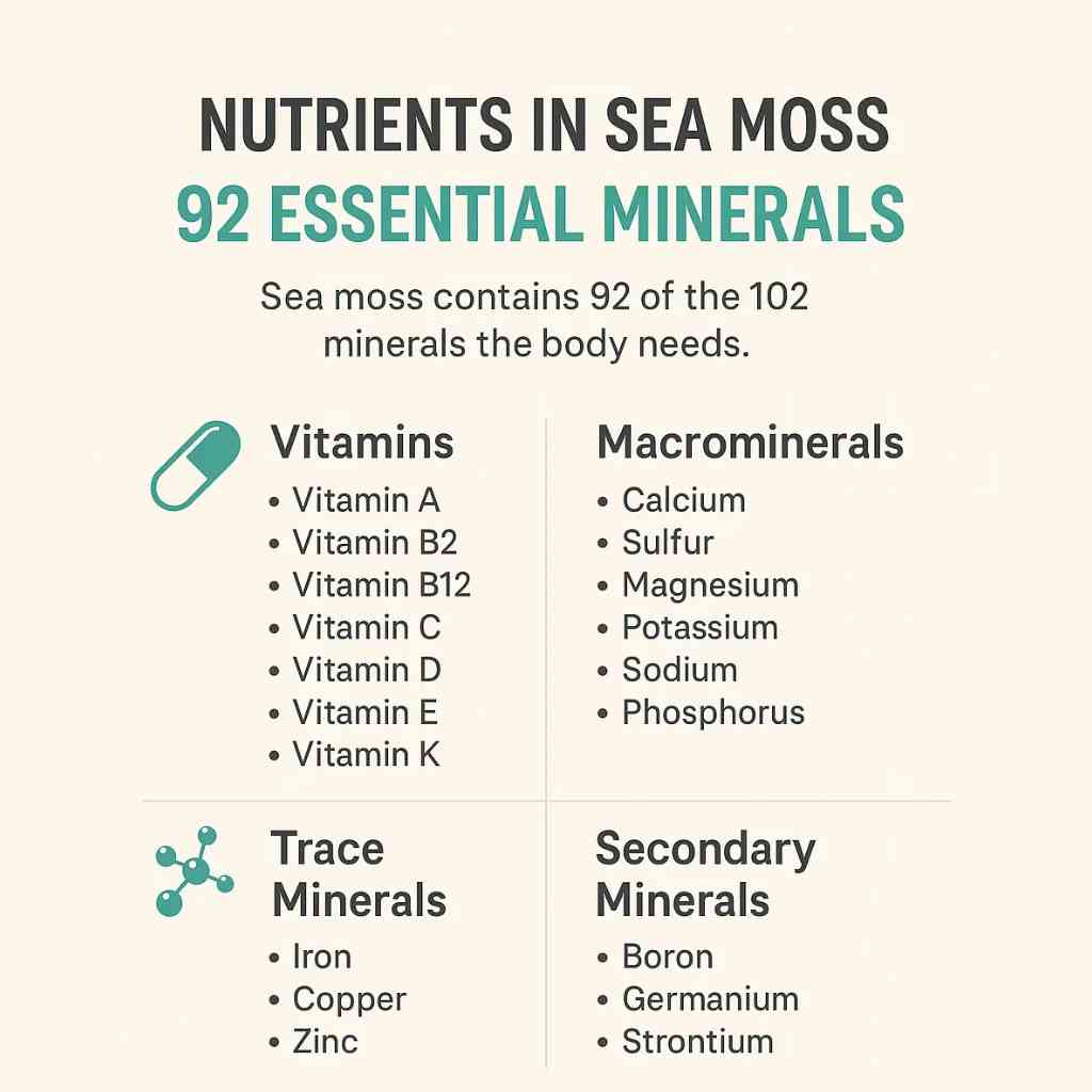 nutrients of sea moss